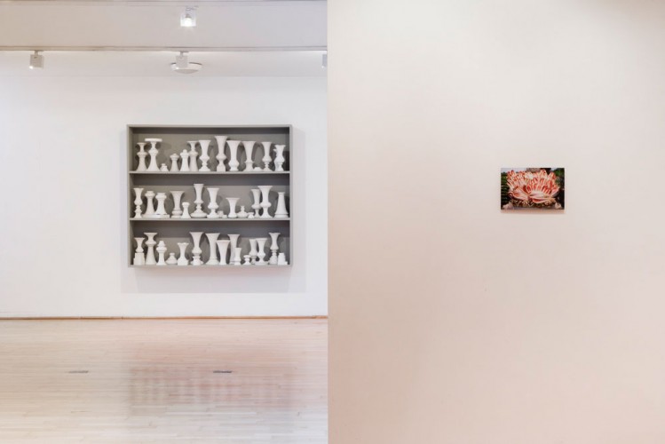 installation at Bay Art Gallery, Cardiff 2011