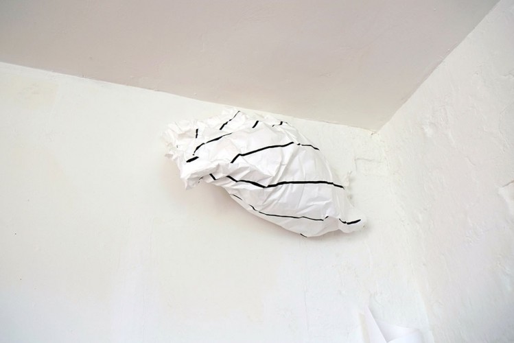 Untitled (rolled drawing)