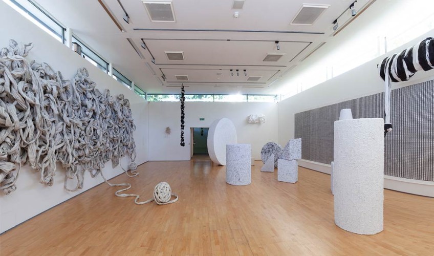 Oriel Davies Gallery, Gallery 1, Newtown 2019, Photo: Dewi Tennat Lloyd